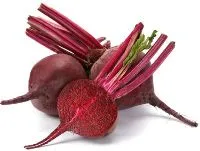 Bietes sarkanās, Latvija kg