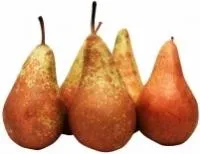 Bumbieri 2.šķ. Latvija, kg