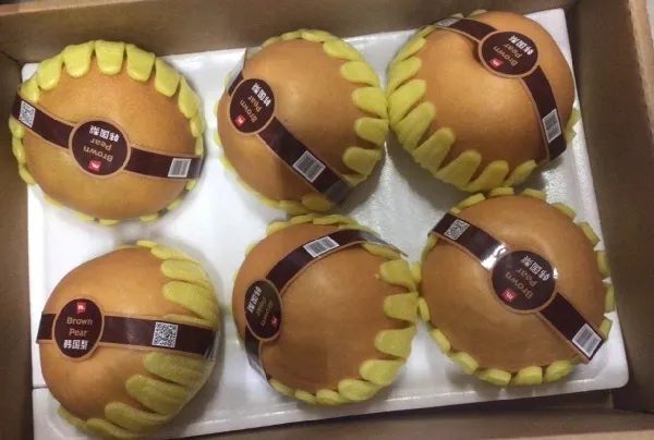 Bumbieri, Korejas brūnie, gab