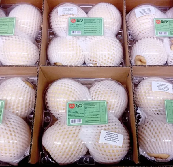 Bumbieri "NASHI'', 4 gab, 1 šķ., gab