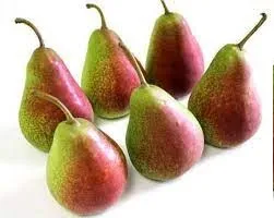 Bumbieri sarkani, kal. 90+, 1.šķ., kg