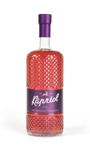 Džins KAPRIOL Sloe, 28,7%, 0.7l