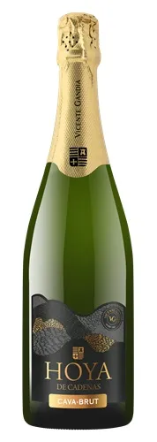 Dzirkstošais vīns HOYA DE CADENAS Cava Blanco, Brut, 11,5%, 0.75l