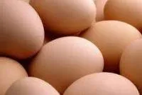 Eggs BIO, different sizes, 6 pcs, No. 0, PILSKALNI