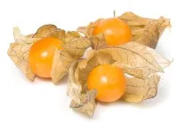 Fizāļi 12 kal. 100g., gab