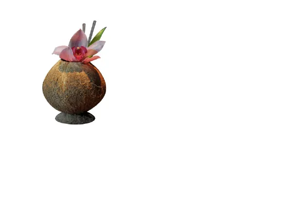 Glāze Coconut, kokosriekstu čaumala, D 9 cm, H 13 cm