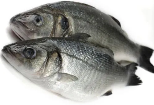 Jūras asaris (Seabass), atdzesēts, 400-600g, neķidāts, a/g, (audzēts), sver.