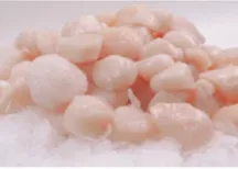 Jūras ķemmīšu gaļa, Japāna, saldēta, 10/20, glazūra 20%, 800g/1kg