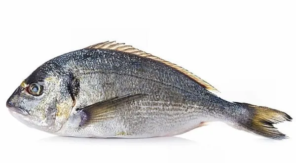 Jūraskarūsa zeltainā (Dorada), atdzesēta, 400-600g, neķidāta, a/g, (audzēta) sver.