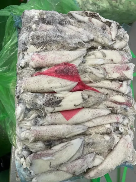 Kalmāri Patagonijas, WOFCO, saldēti, veseli, netīrīti, C4 (8-10 cm), bez glazūras, ~5kg, sver.