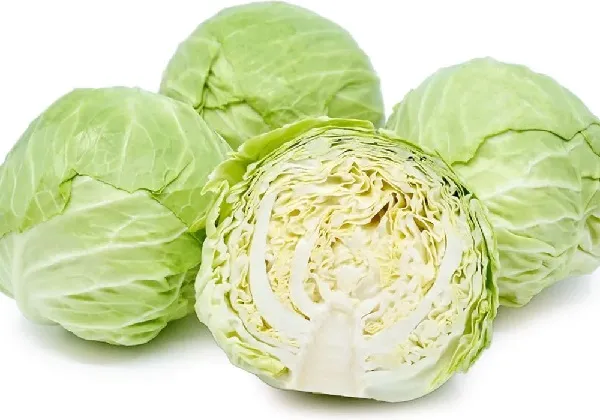 Kāposti, jaunie, kg