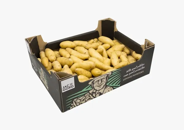 Kartupeļi ''RATTE'', kg