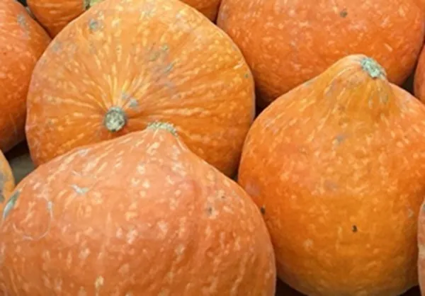 Ķirbis Hokkaido, kg