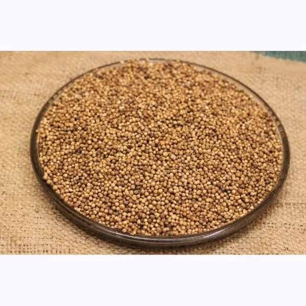 Koriandra sēklas, 1kg
