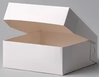 Kūku kastes 260x130x100mm, baltas, 100 gab. PAP, 3.5kg