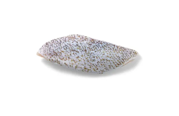 Lutjānzivs (Red Snapper) fileja, saldēta, 170-230g, ar ādu, glazūra 10%, 1kg