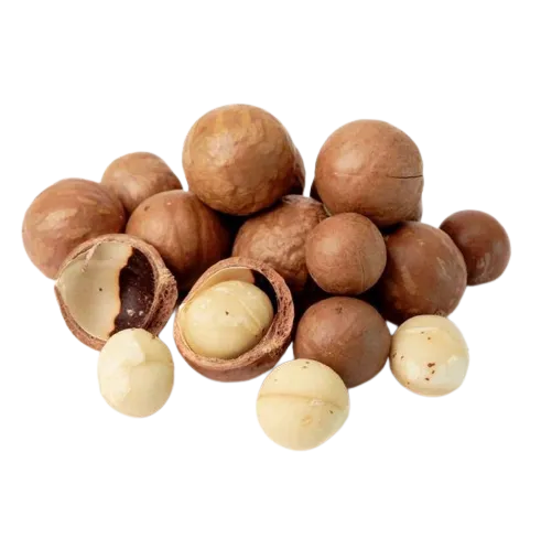 Makadāmijas rieksti čaumalās, grauzdēti, sālīti, D