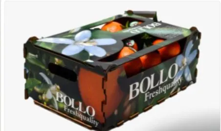 Mandarīni  "BOLLO", 1.šķ., ~ 2.3kg, gab