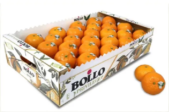 Mandarīni  "BOLLO", 1.šķ., kg