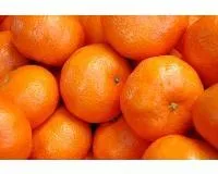 Mandarīni "Clementina", 3-5kal. 2.šķ., kg