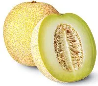 Melone "Galija", 4/6.kal. 2.šķ. kg