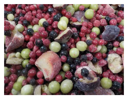 Ogu maisījums kompotam GOLDEN GARDEN, 2.5kg IQF