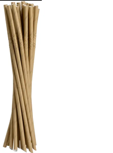 Papīra salmiņi ABENA Gastro, 24cm, D6mm, brūni ar izliekumu, 0.325kg, 250gab