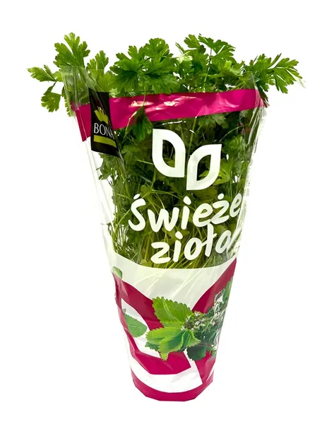 Pētersīļi lapu, podiņā, 2.šķ., gab.