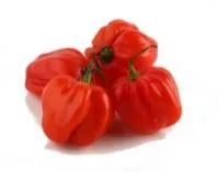 Pipari sarkanie, asie HABANERO, 2.šķ. kg.