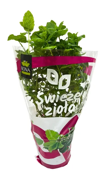 Piparmētra podiņā, 2.šķ., gab