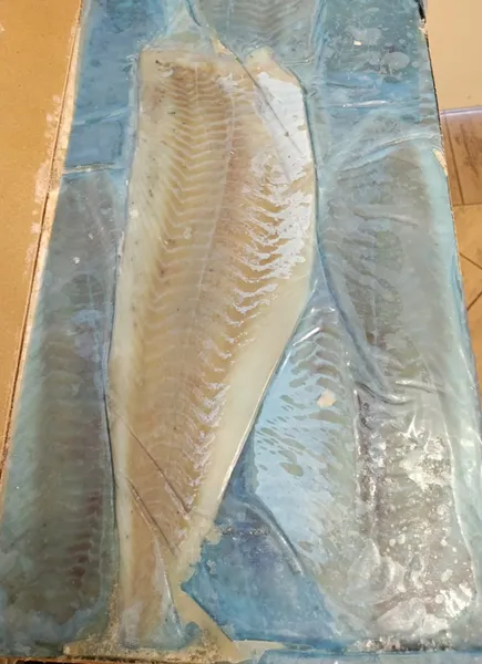 Saidas filejas, saldētas, 224 - 448g, bez ādas, 6.8kg