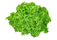 Salāti lapu "Gentile" 2.šķ, kg