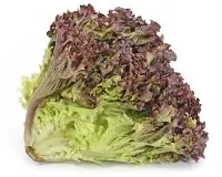 Salāti "Lollo Rosso", 2.šķ,kg