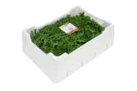Salāti "Rucola" 500gr, 2.šk, gab