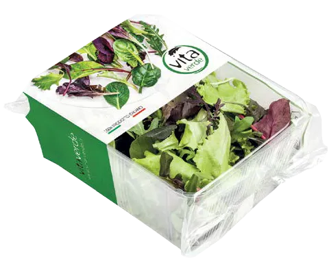 Salāti "Salātu MIX" 100gr, 2.šk, gab