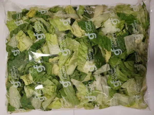 Salātu maisījums ROMAINE-ICEBERG, 1000 g. gab
