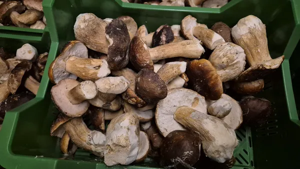 Saldētas baravikas, 1kg