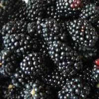 Saldētas kazenes, 1kg