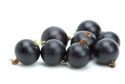 Saldētas upenes, 1kg