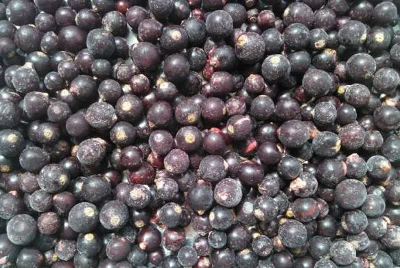 Saldētas upenes, 2.5kg