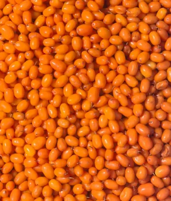 Saldēti smiltsērkšķi, 1kg