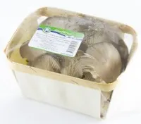 Sēnes "Austersēnes" 300g., gab.