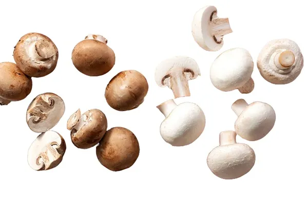 Sēnes šampinjoni, sveramas, 2. šķira, kg