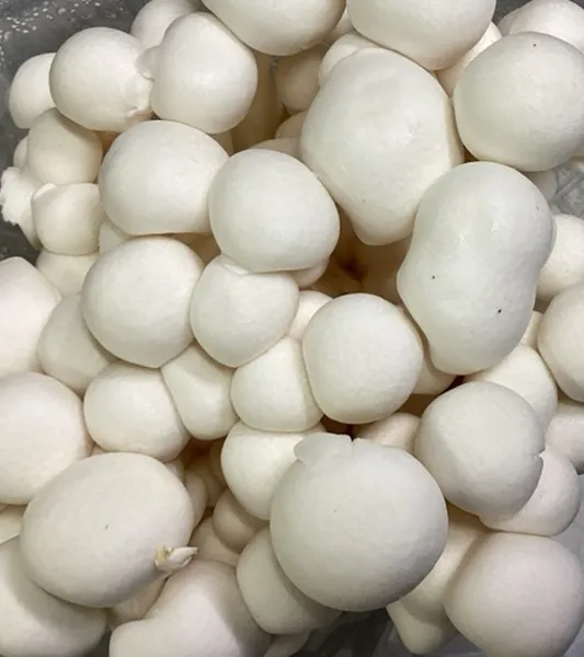 Sēnes Shimeji baltas, 150g, gab