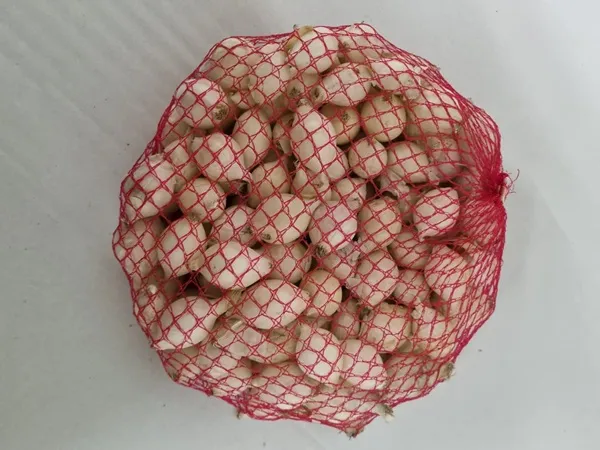 Sīksīpoli baltie, sver. ~1 kg, kg