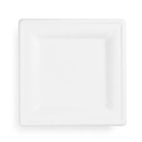 Šķīvis no cukurniedras, kantains, 18x18cm, 0.85kg, 50gab