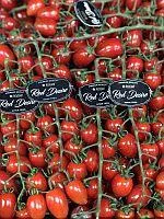 Tomāti Cherry RED DESIRE, I šķ., kg