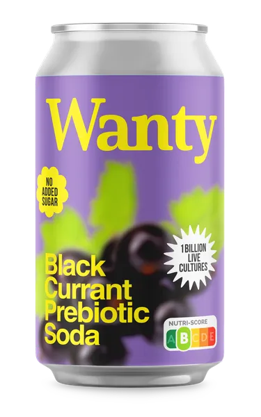 Ūdens WANTY, ar upeņu garšu un prebiotiku, bundžā, 0.33l (DEP)