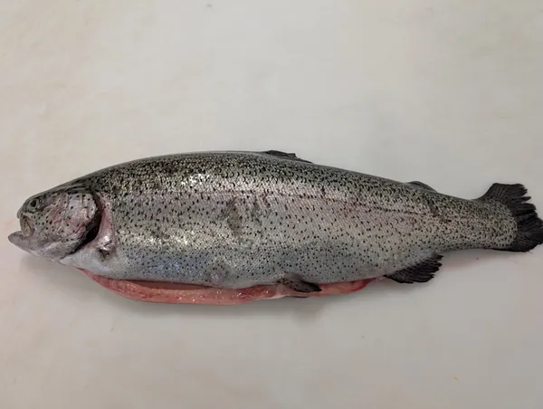 Varavīksnes forele, atvēsināta, 1-2kg, ķidāta, ar galvu, sver.