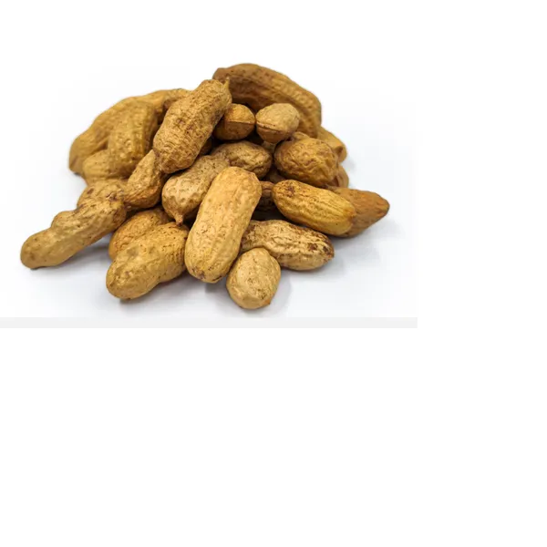 Zemesrieksti čaumalā, grauzdēti,kg, D